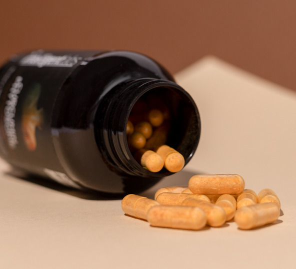 meriva-kurkumiin-phytosome-500-mg-04