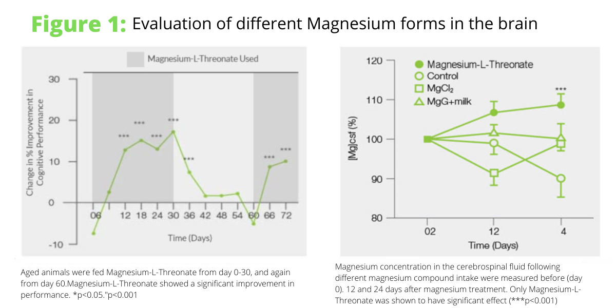 magneesiumivormide kasu ajule